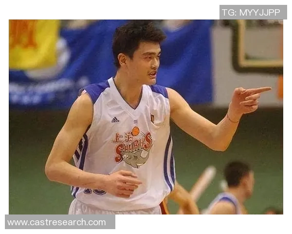 姚明球员赛精彩回顾：传奇巨星的篮球之路与辉煌瞬间